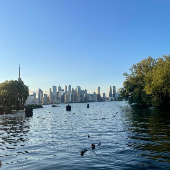 Meet your Posher, Leila - Picture 1 of 1